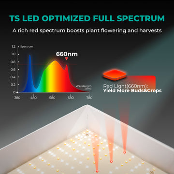 Mars Hydro TS 1000 spectre complet 150W LED lampe de croissance solaire à intensité variable pour la culture hydroponique intérieure de légumes et de fleurs